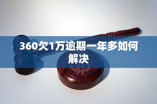 360欠1万逾期一年多如何解决