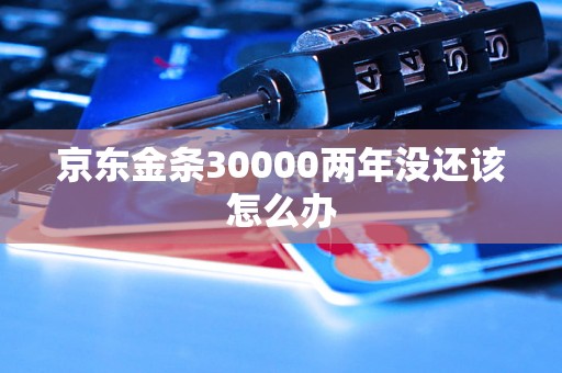 京东金条30000两年没还该怎么办