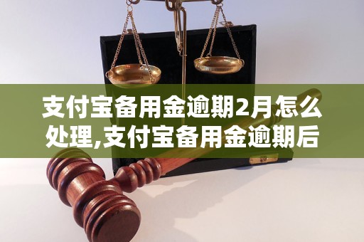 支付宝备用金逾期2月怎么处理,支付宝备用金逾期后果及解决方法