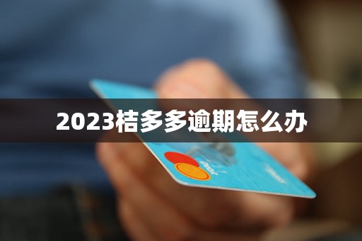 2023桔多多逾期怎么办