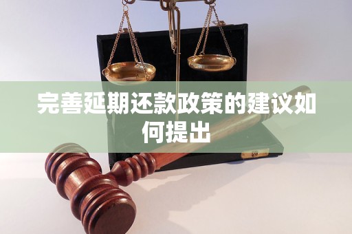 完善延期还款政策的建议如何提出