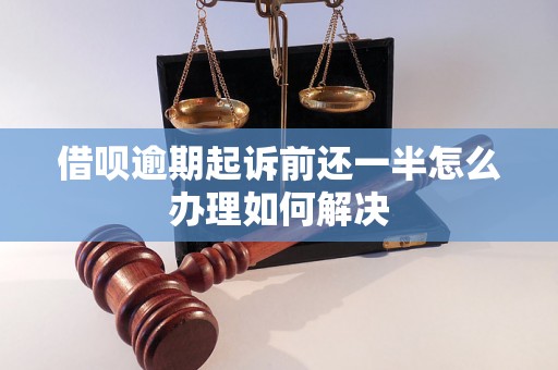 借呗逾期起诉前还一半怎么办理如何解决