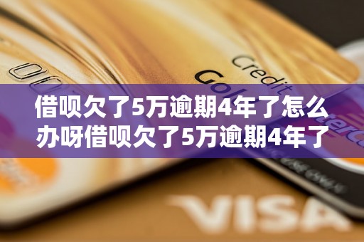 借呗欠了5万逾期4年了怎么办呀借呗欠了5万逾期4年了怎么办呀