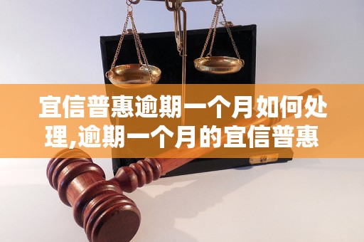 宜信普惠逾期一个月如何处理,逾期一个月的宜信普惠应急措施