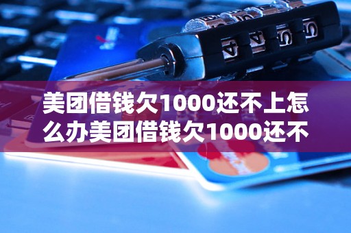 美团借钱欠1000还不上怎么办美团借钱欠1000还不上怎么办