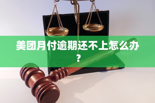 美团月付逾期还不上怎么办？