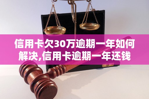 信用卡欠30万逾期一年如何解决,信用卡逾期一年还钱方法