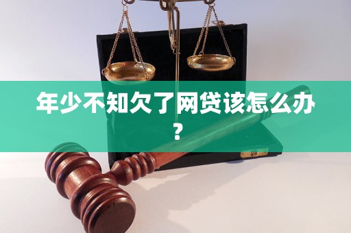 年少不知欠了网贷该怎么办？