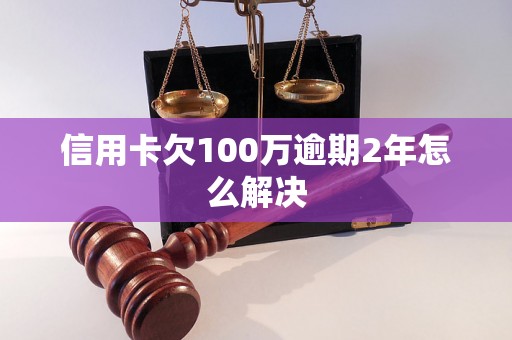 信用卡欠100万逾期2年怎么解决