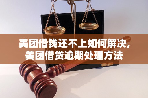 美团借钱还不上如何解决,美团借贷逾期处理方法