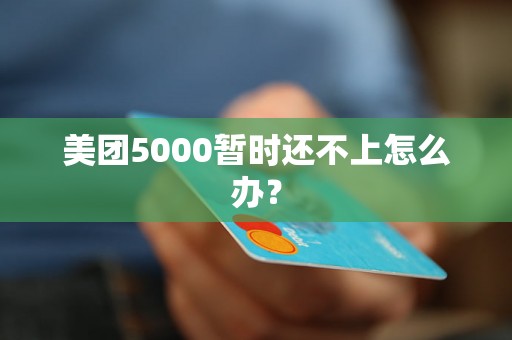 美团5000暂时还不上怎么办？