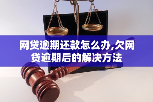 网贷逾期还款怎么办,欠网贷逾期后的解决方法