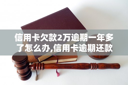 信用卡欠款2万逾期一年多了怎么办,信用卡逾期还款后果及处理方法