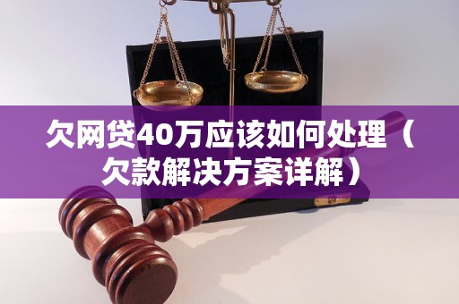 欠网贷40万应该如何处理（欠款解决方案详解）