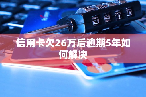 信用卡欠26万后逾期5年如何解决