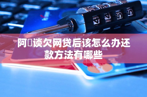 阿囧谈欠网贷后该怎么办还款方法有哪些