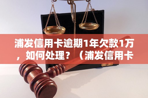 浦发信用卡逾期1年欠款1万，如何处理？（浦发信用卡逾期后果及解决方案）