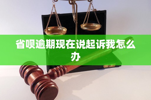 省呗逾期现在说起诉我怎么办