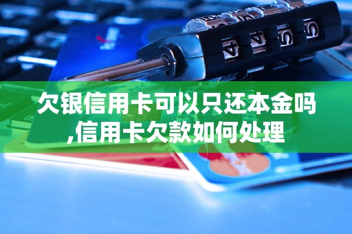 欠银信用卡可以只还本金吗,信用卡欠款如何处理