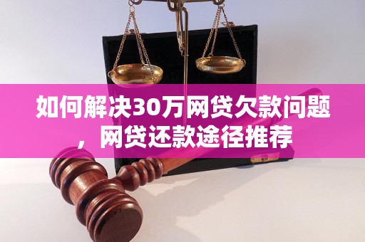 如何解决30万网贷欠款问题，网贷还款途径推荐