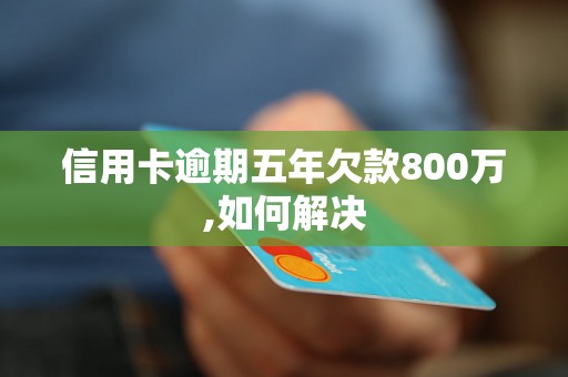 信用卡逾期五年欠款800万,如何解决