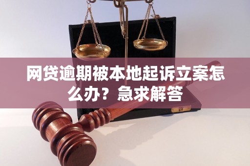 网贷逾期被本地起诉立案怎么办？急求解答