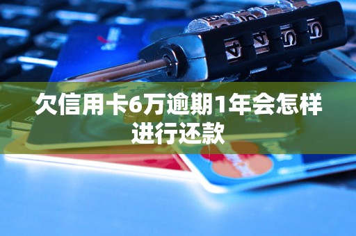 欠信用卡6万逾期1年会怎样进行还款