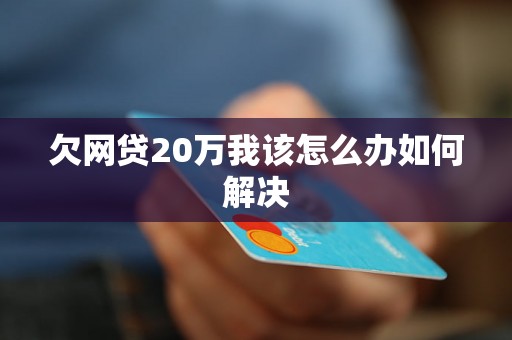 欠网贷20万我该怎么办如何解决