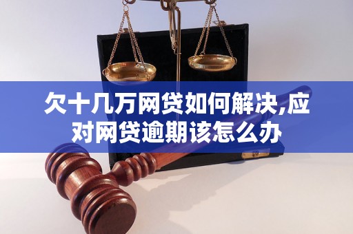 欠十几万网贷如何解决,应对网贷逾期该怎么办