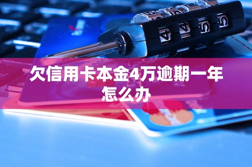 欠信用卡本金4万逾期一年怎么办