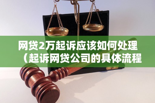 网贷2万起诉应该如何处理（起诉网贷公司的具体流程和注意事项）