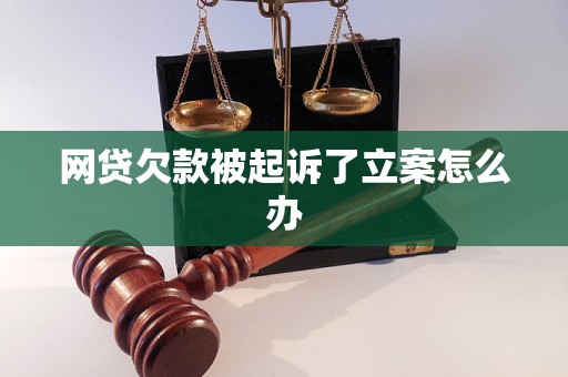 网贷欠款被起诉了立案怎么办