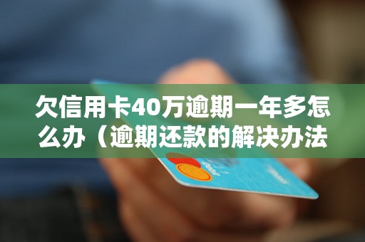 欠信用卡40万逾期一年多怎么办（逾期还款的解决办法）