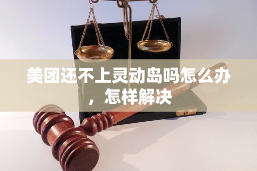 美团还不上灵动岛吗怎么办，怎样解决