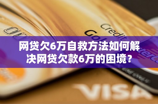 网贷欠6万自救方法如何解决网贷欠款6万的困境？