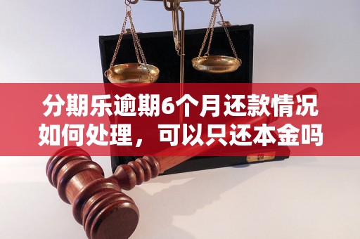 分期乐逾期6个月还款情况如何处理，可以只还本金吗