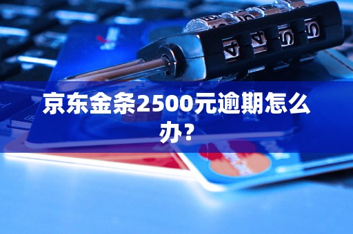 京东金条2500元逾期怎么办？