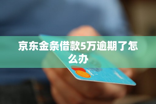 京东金条借款5万逾期了怎么办