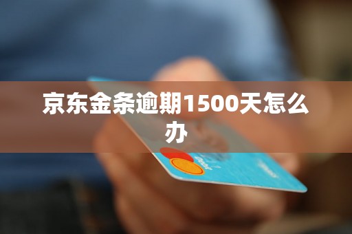 京东金条逾期1500天怎么办