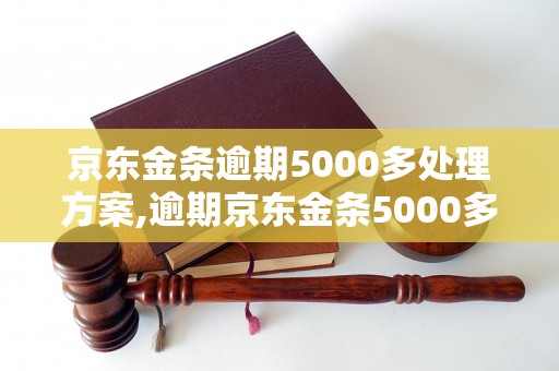 京东金条逾期5000多处理方案,逾期京东金条5000多怎么办