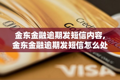 金东金融逾期发短信内容,金东金融逾期发短信怎么处理