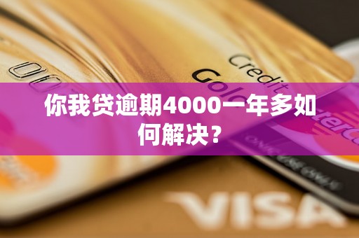 你我贷逾期4000一年多如何解决？