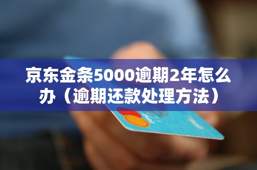 京东金条5000逾期2年怎么办（逾期还款处理方法）