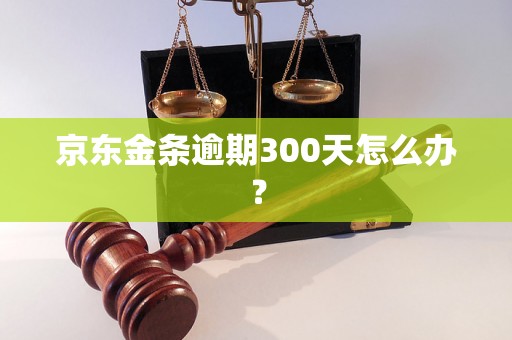 京东金条逾期300天怎么办？