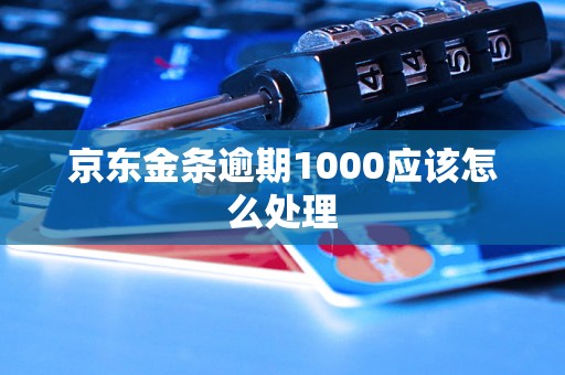 京东金条逾期1000应该怎么处理