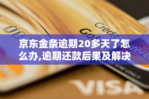 京东金条逾期20多天了怎么办,逾期还款后果及解决办法