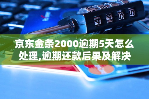 京东金条2000逾期5天怎么处理,逾期还款后果及解决办法