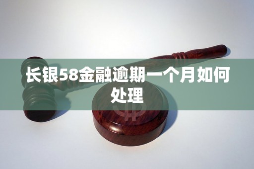 长银58金融逾期一个月如何处理