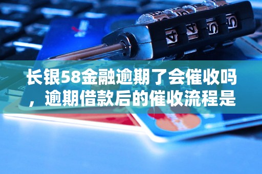 长银58金融逾期了会催收吗，逾期借款后的催收流程是怎样的