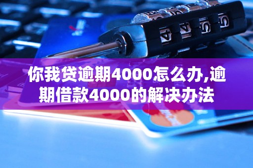 你我贷逾期4000怎么办,逾期借款4000的解决办法